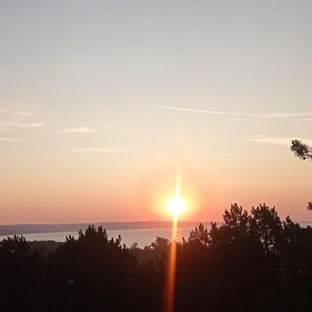 студио за гости бориса