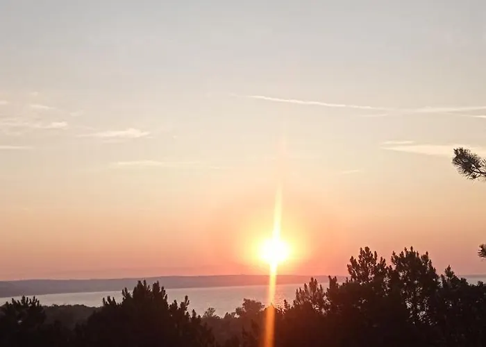 студио за гости бориса