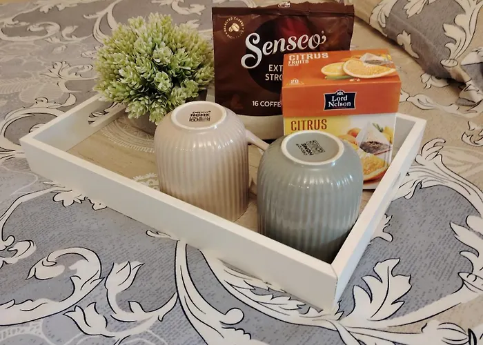 Апартамент студио за гости бориса *