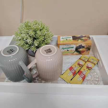 Apartman студио за гости бориса