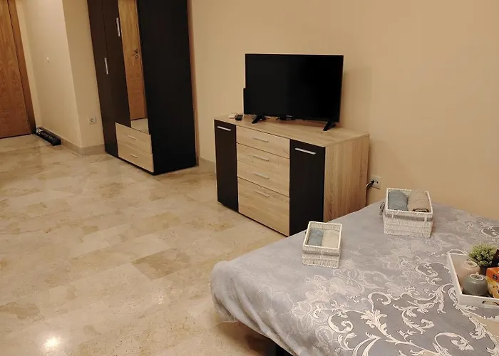 Lejlighed студио за гости бориса *